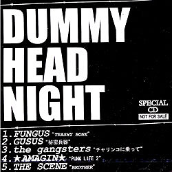 VAuDUMMY HEAD NIGHTv